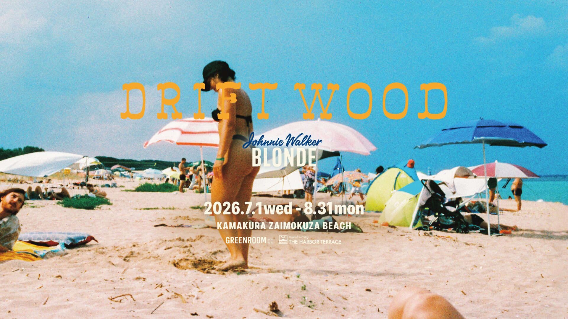 DRIFTWOOD
