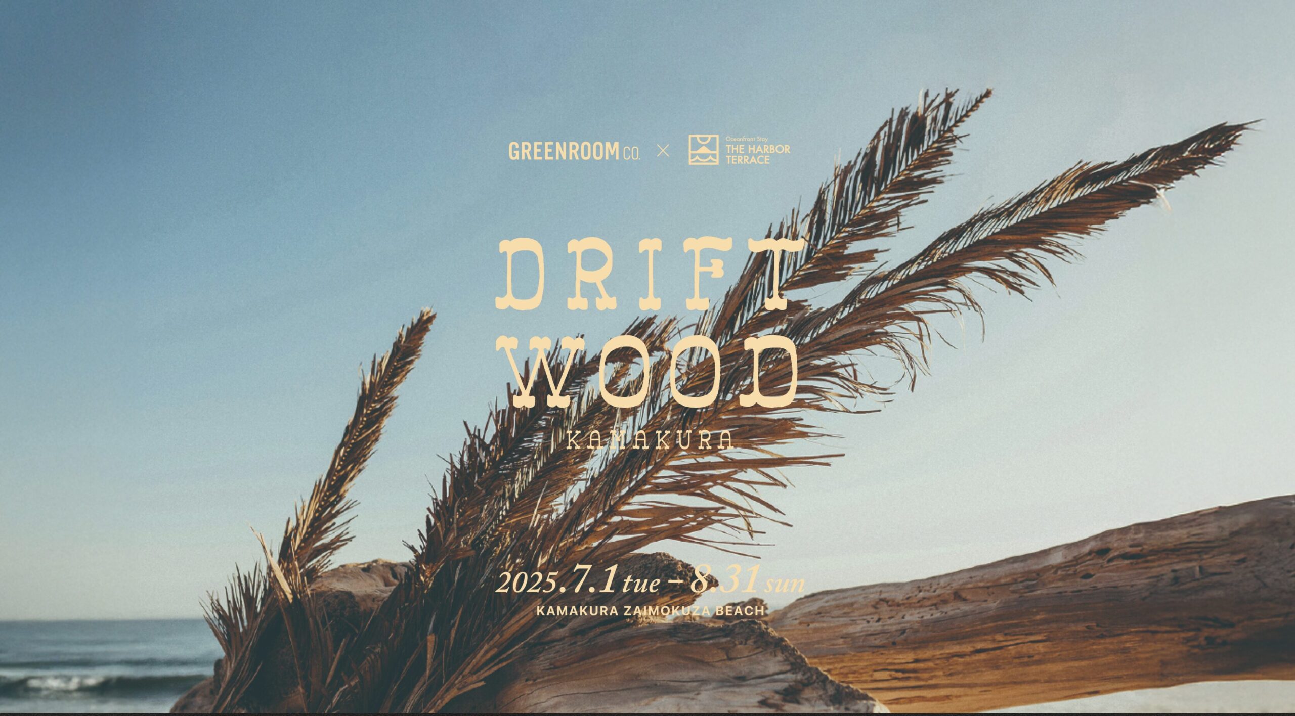 DRIFTWOOD